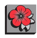 Red flower with gray petals and center, on a gray square with black shadow.
