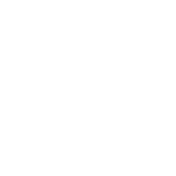 Child Custody