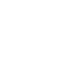 Client Feedbacks