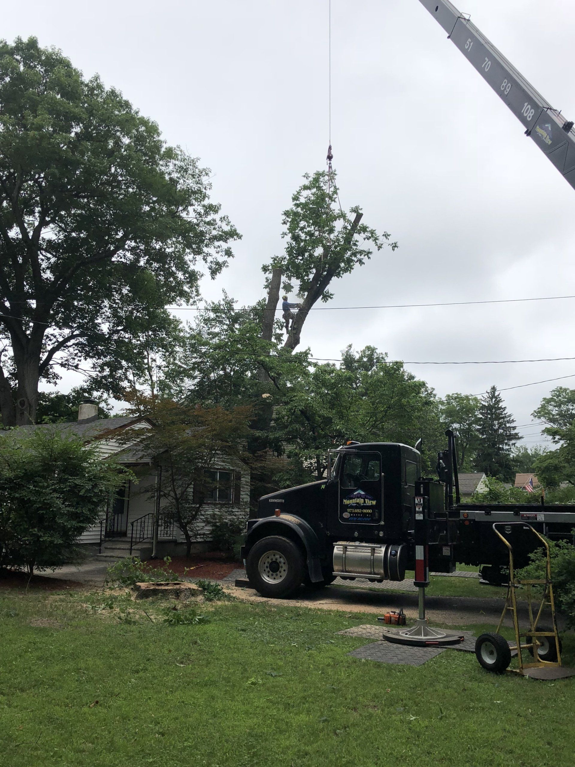 Gallery | Wayne, NJ | Mountain View Tree Service