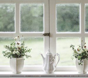 Home Windows And Flowers