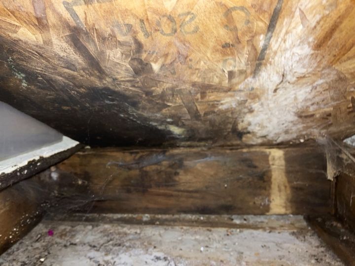 A room with a lot of wood and a lot of dust