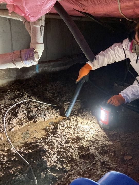 A person is using a vacuum cleaner to clean a basement