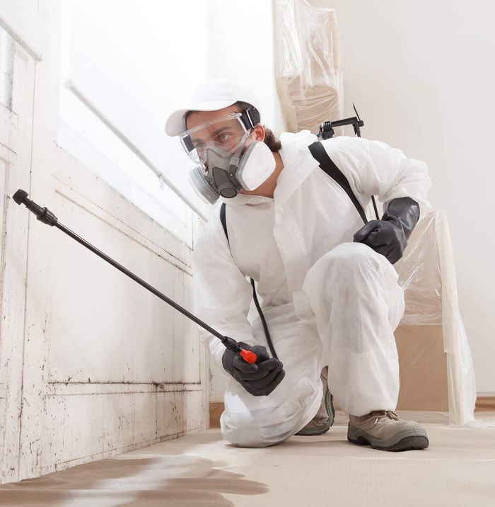 A man wearing a mask and goggles is spraying a wall with a sprayer.