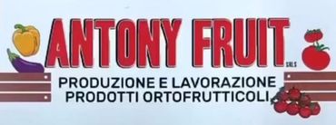 ANTONY FRUIT LOGO