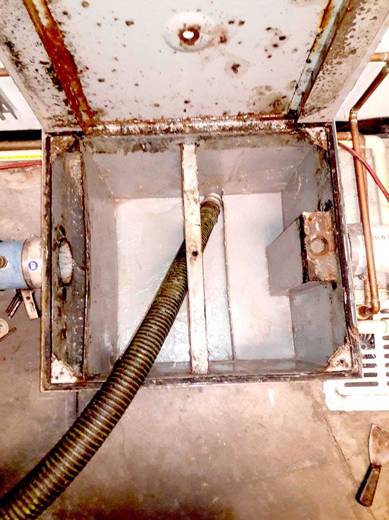 cleaned grease trap