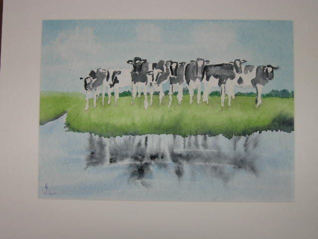 Koeien 2 - 60x51 cm