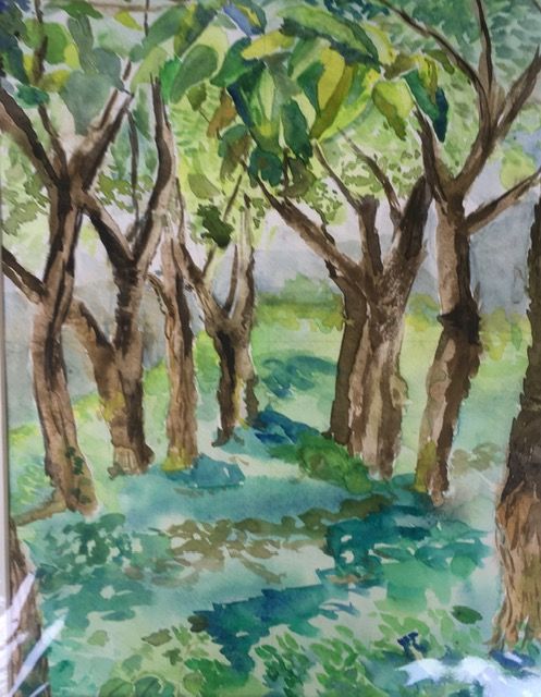 De mispelboompjes 40x50 cm