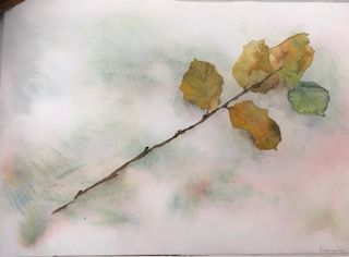 herfsttakje 1 50x36 cm