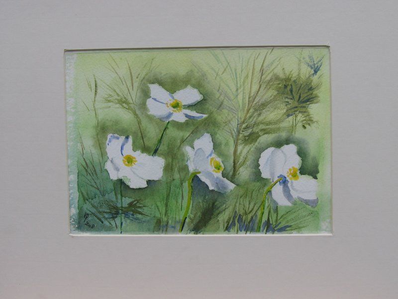 Herfstanemonen - 54x44 cm