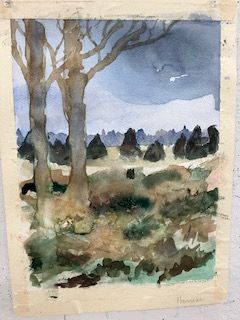 landschap 2, 30x42 cm