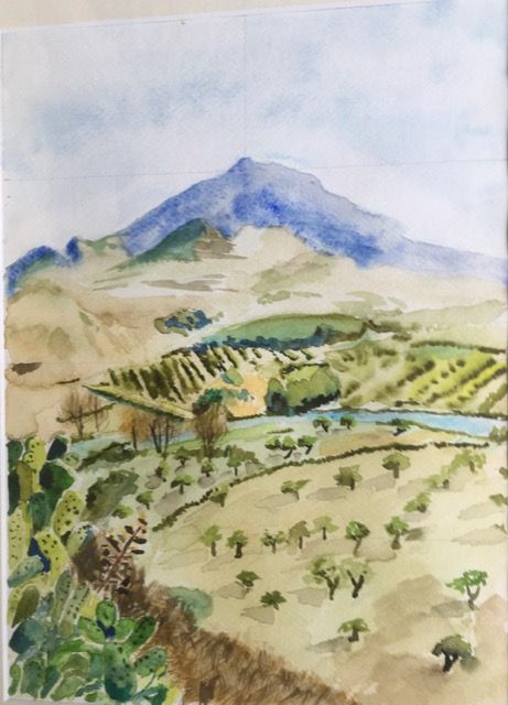 Landschap met olijfbomen 40x50 cm