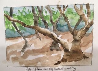 olijfbomen, in de leporello