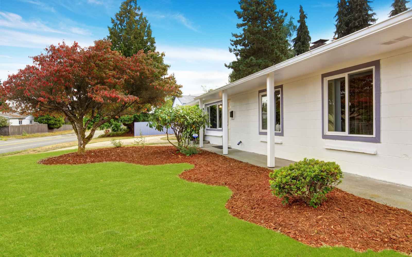A well-maintained front yard of a house.
