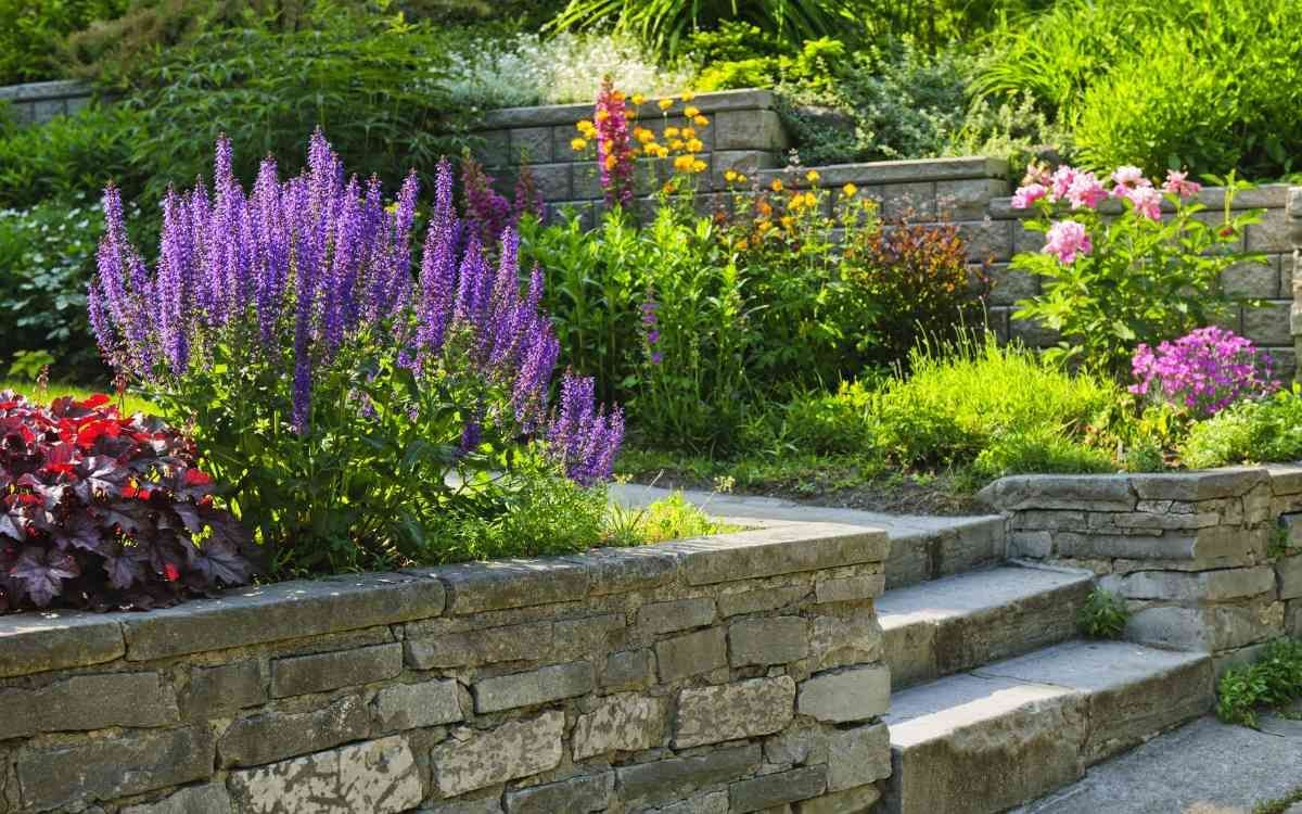 A well-maintained garden with various colorful flowers and plants, arranged on tiered stone walls and steps, creates a serene and vibrant outdoor scene.