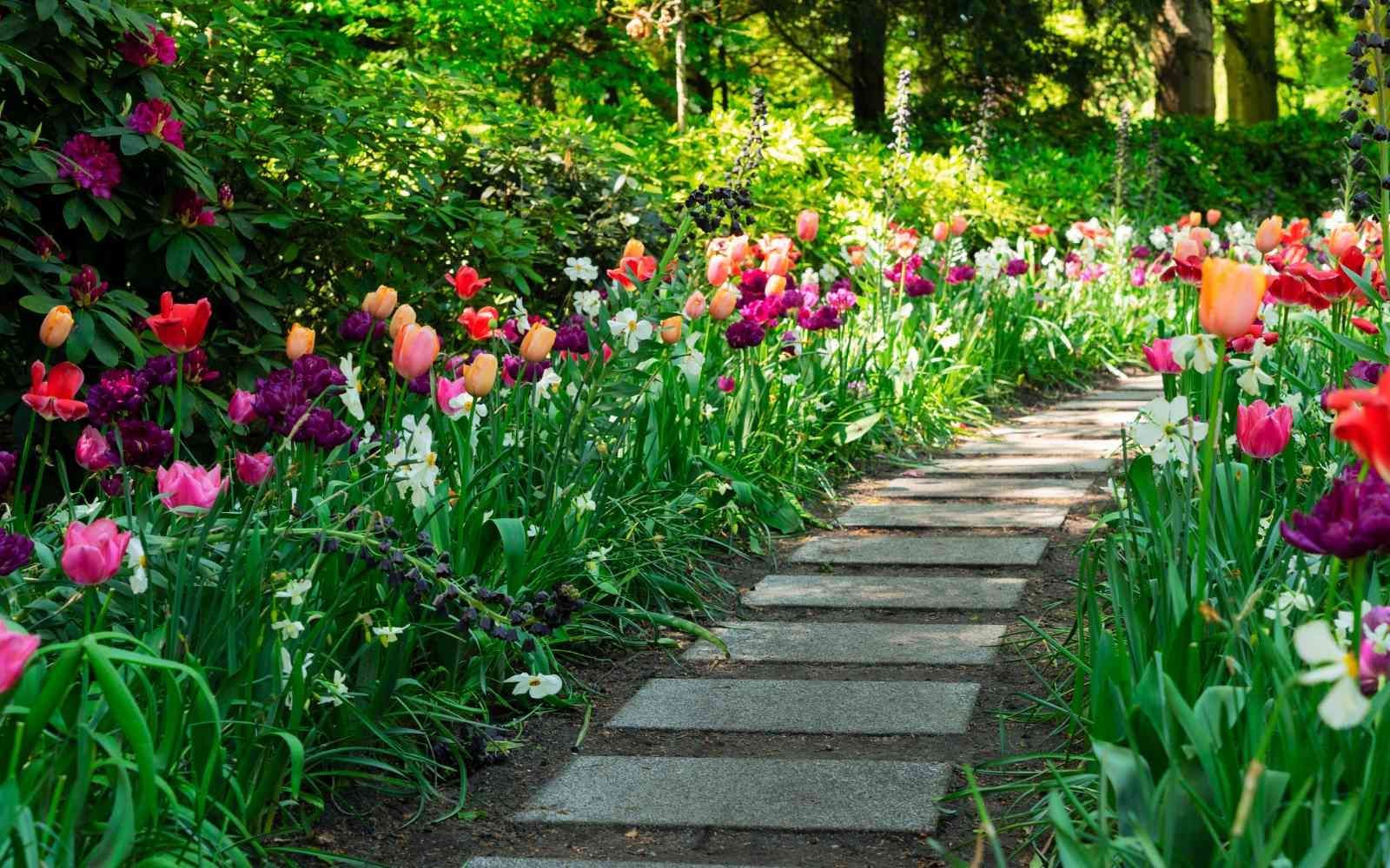 A garden path lined with colorful tulips and other flowers.