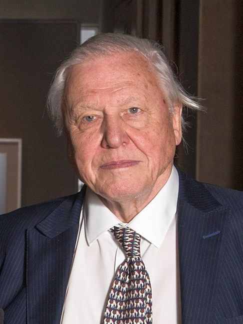 A portrait of Sir David Attenborough wearing a dark blue pinstriped suit, white shirt, and a patterned tie.