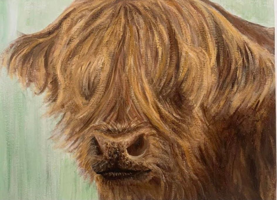 a close up of a painting of a highland cow with long hair .