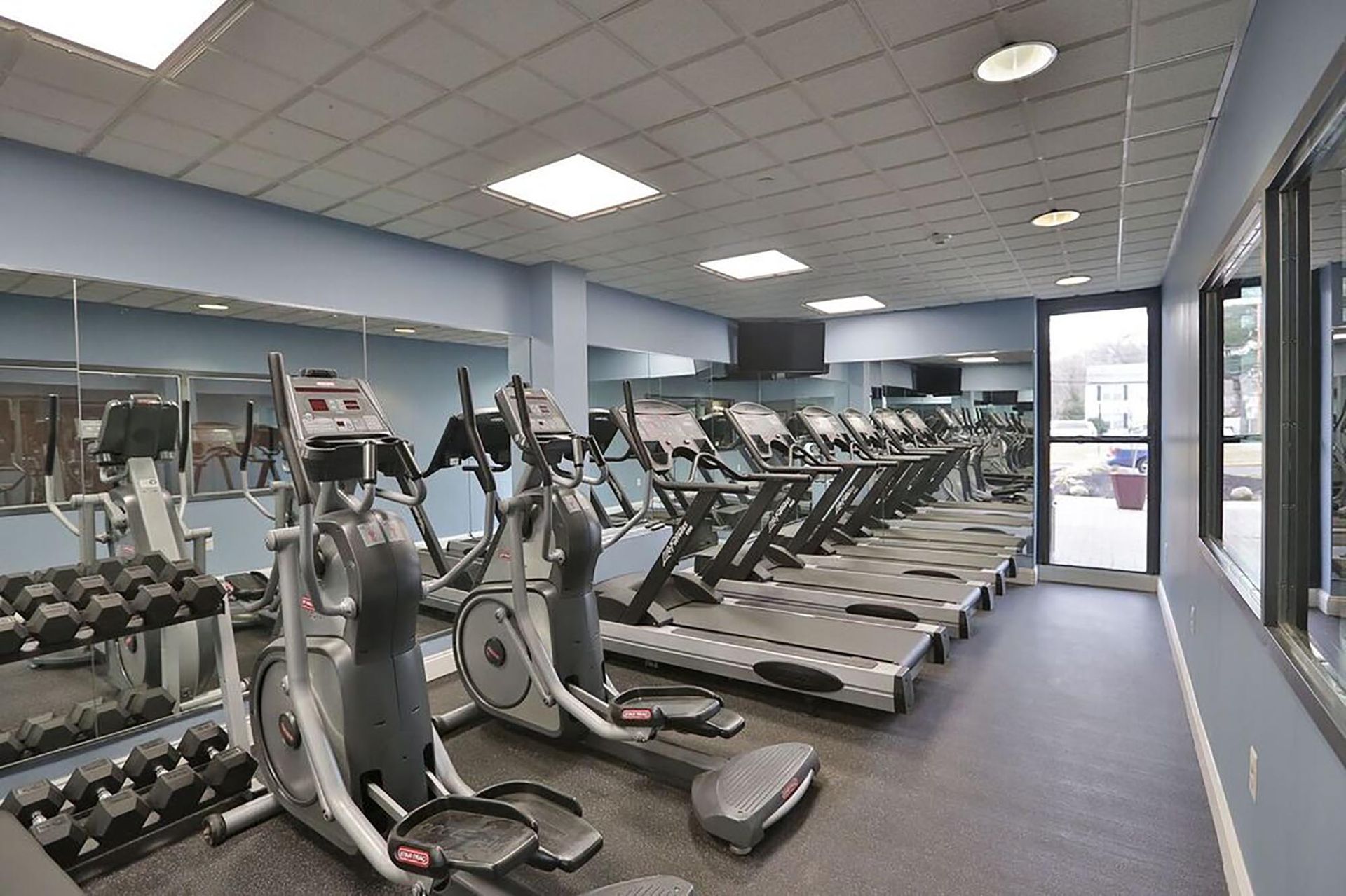 Gym with treadmills, elliptical machines, weights, and mirrors. Blue walls and ceiling, natural light.