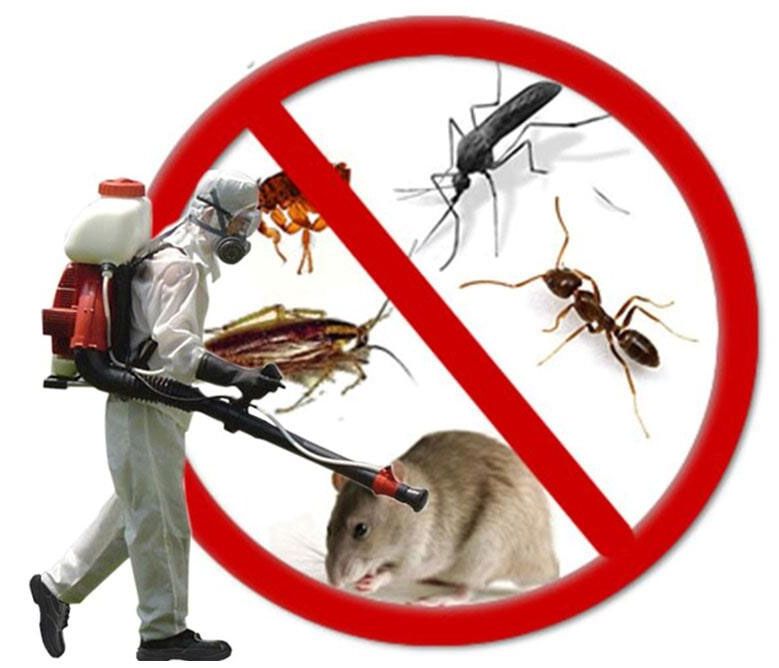 TECNI CONTROL DE PLAGAS