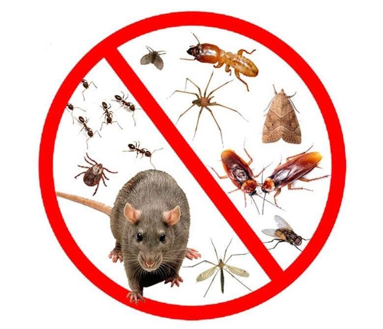 TECNI CONTROL DE PLAGAS