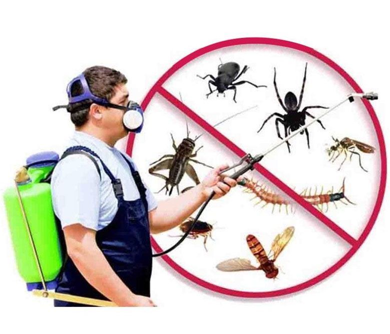 TECNI CONTROL DE PLAGAS