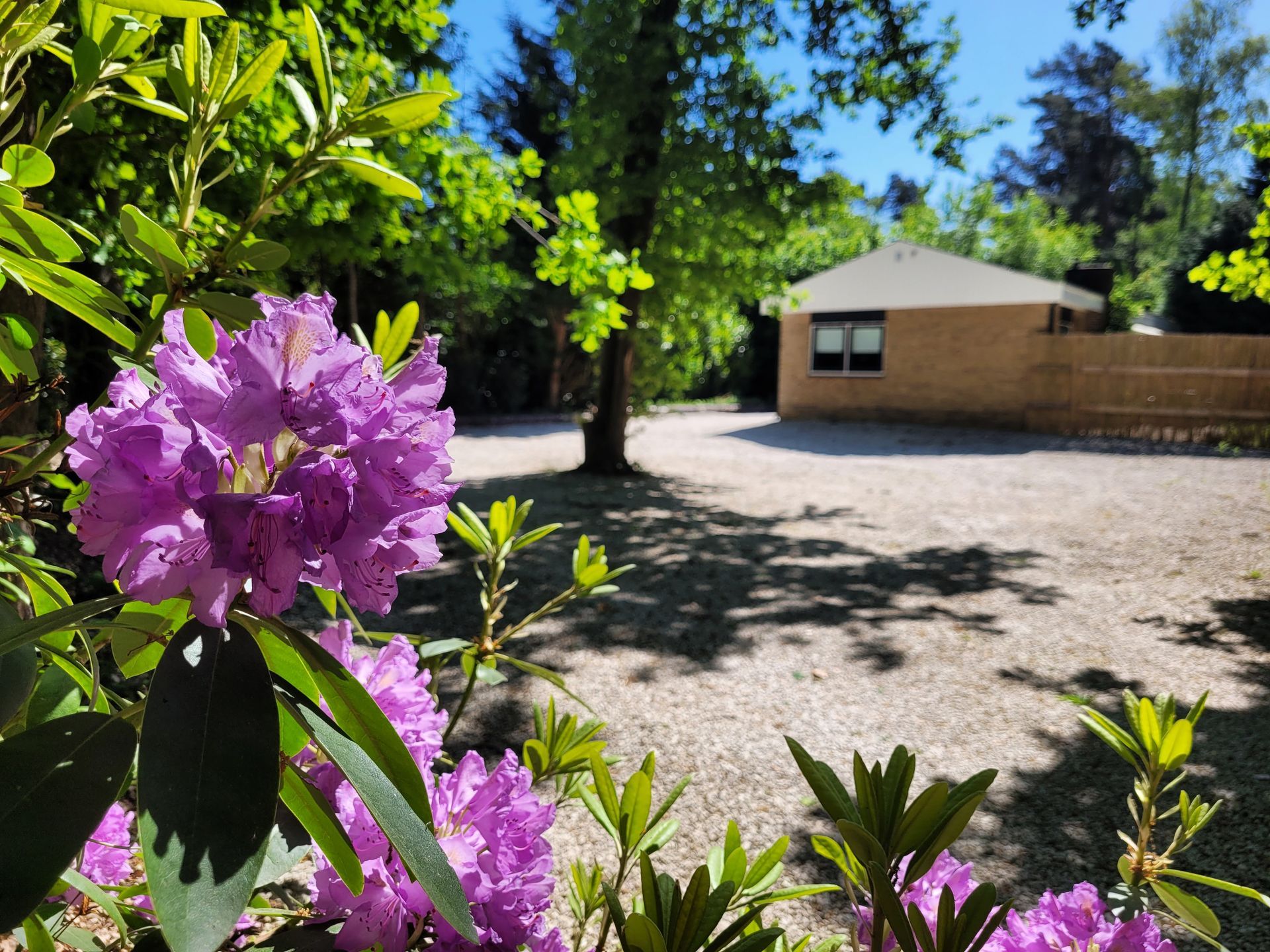 Secret Wellness Oase - Bos - Erf - Huis - Natuur