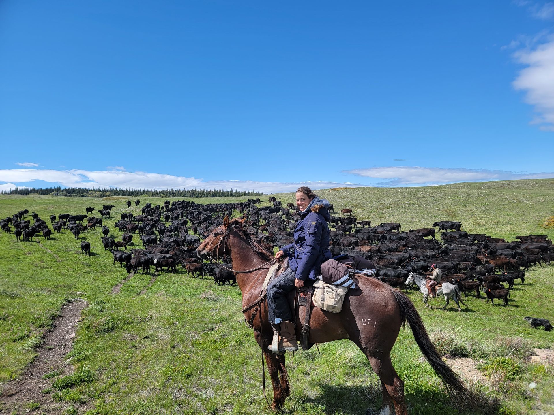 Horseback Vacations Montana