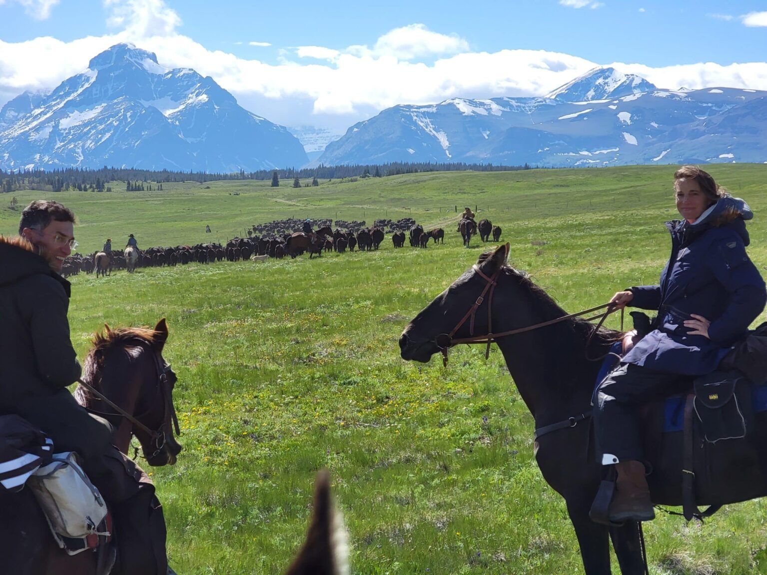 A man and a woman are riding horses in a field with mountains in the background.