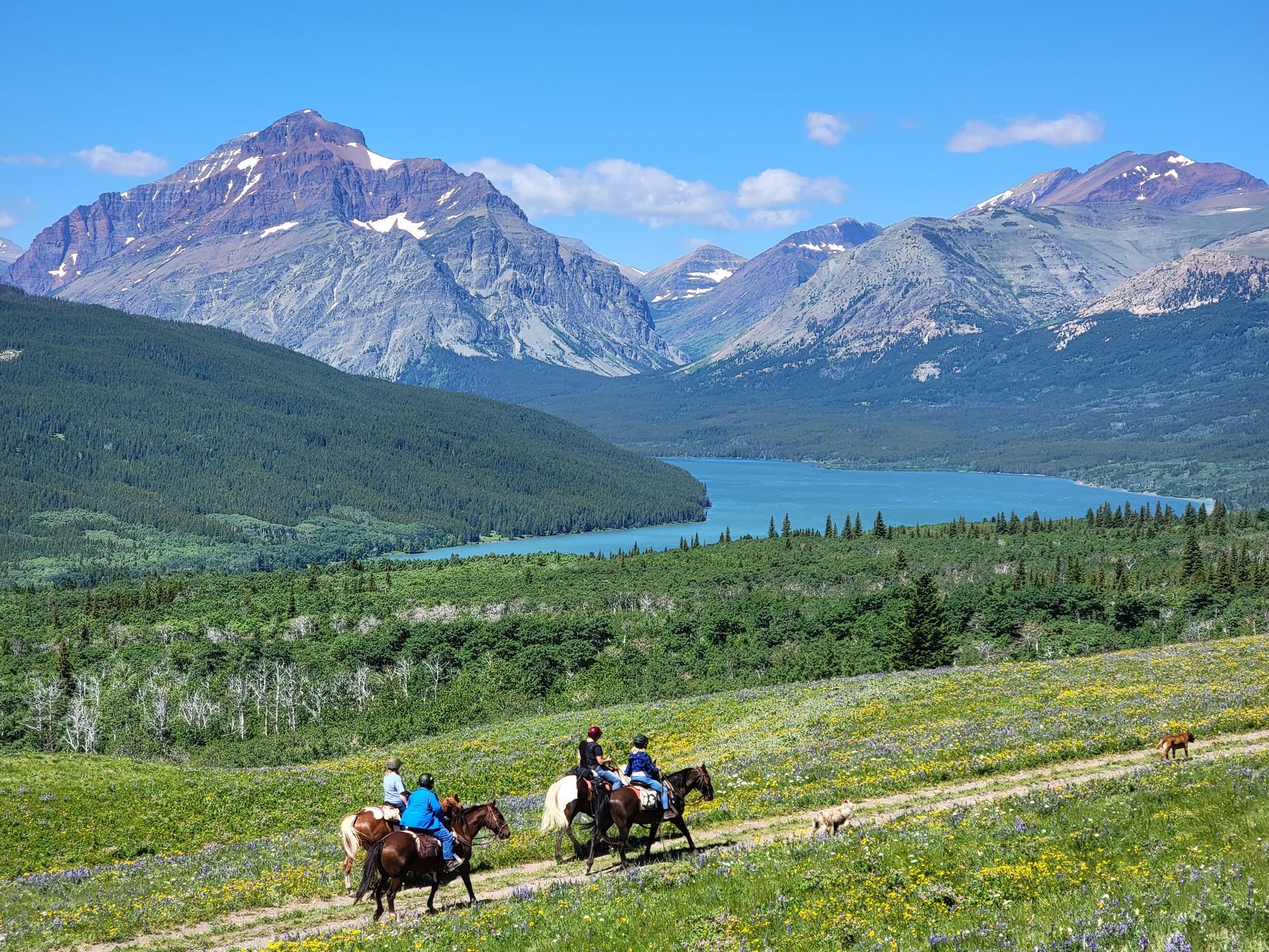 Horseback Vacations Bear Creek Guest Ranch Glacier National Park