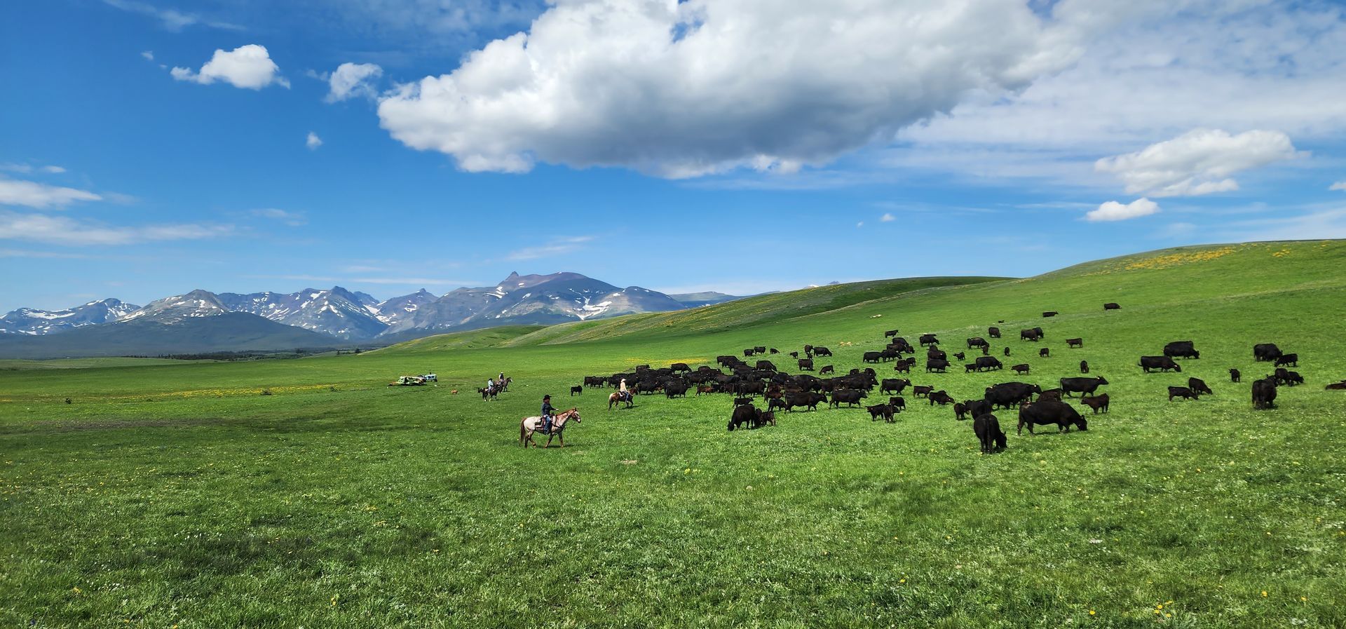 Horseback Vacations Montana