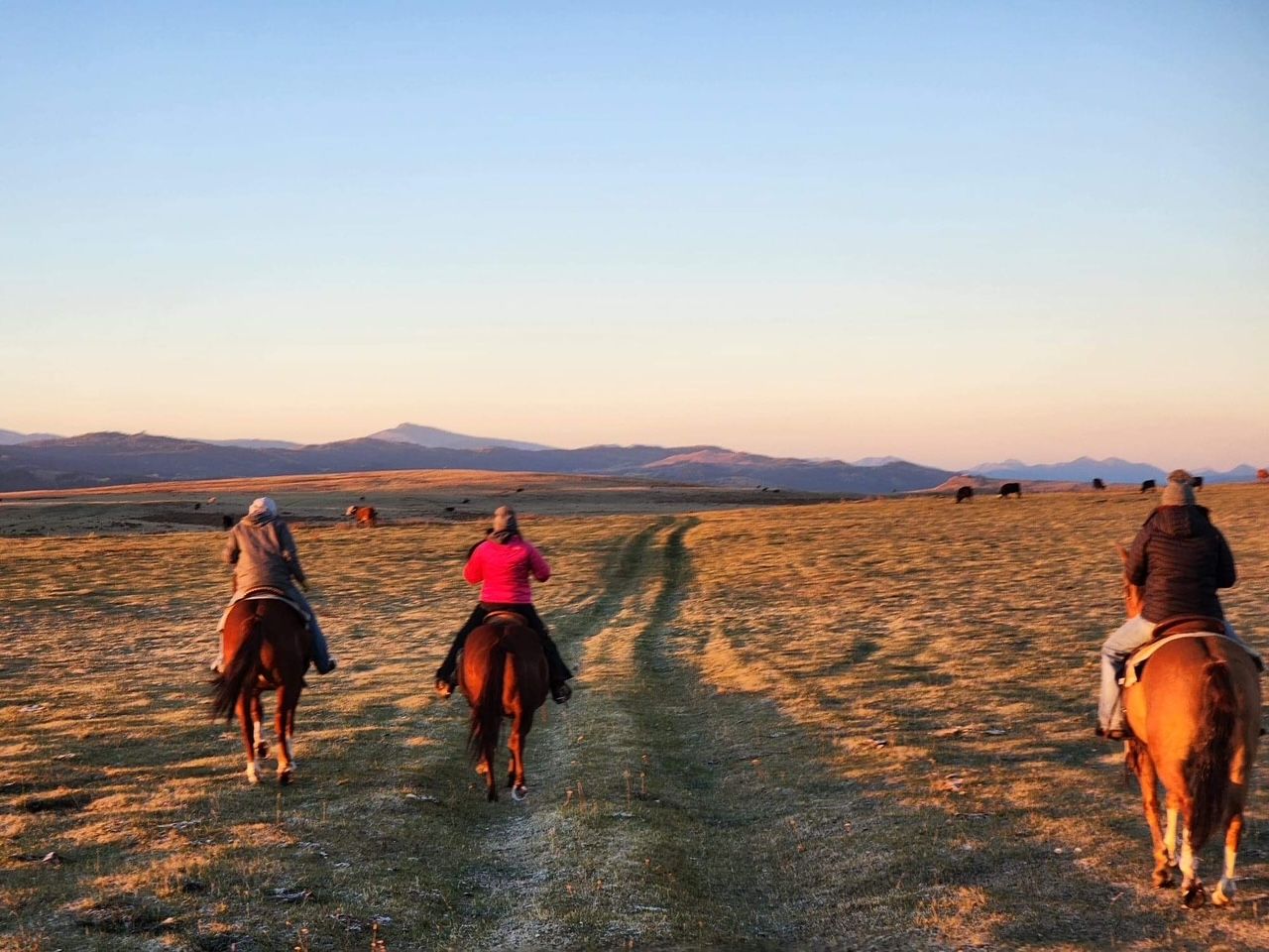 A group of people riding horses with a mountain in the background