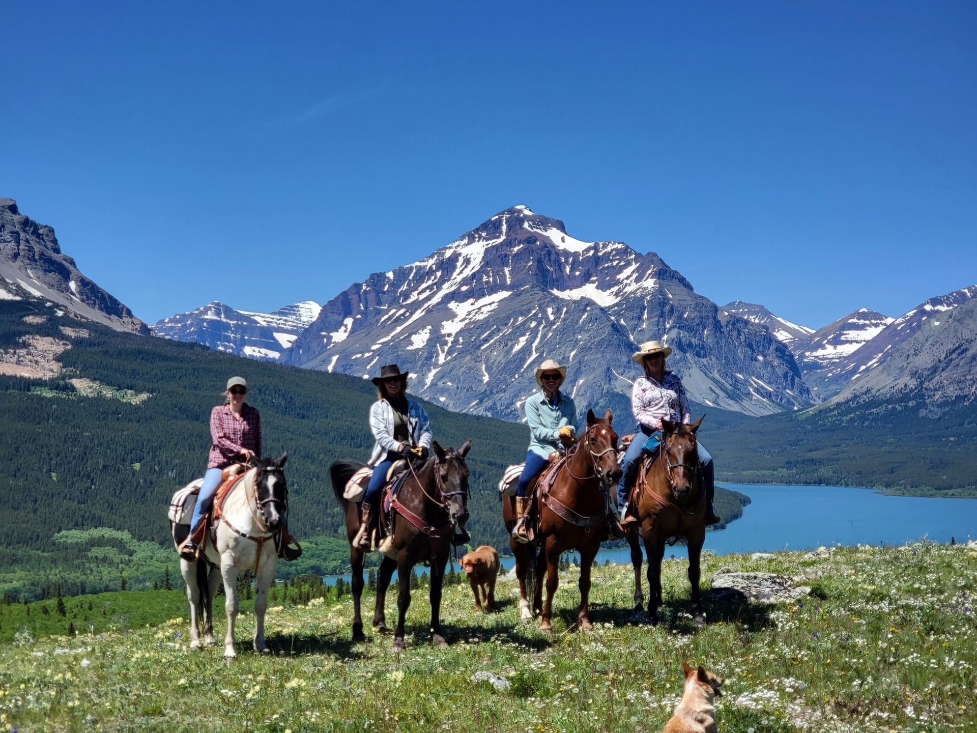 Horseback Riding Vacations Bear Creek Guest Ranch