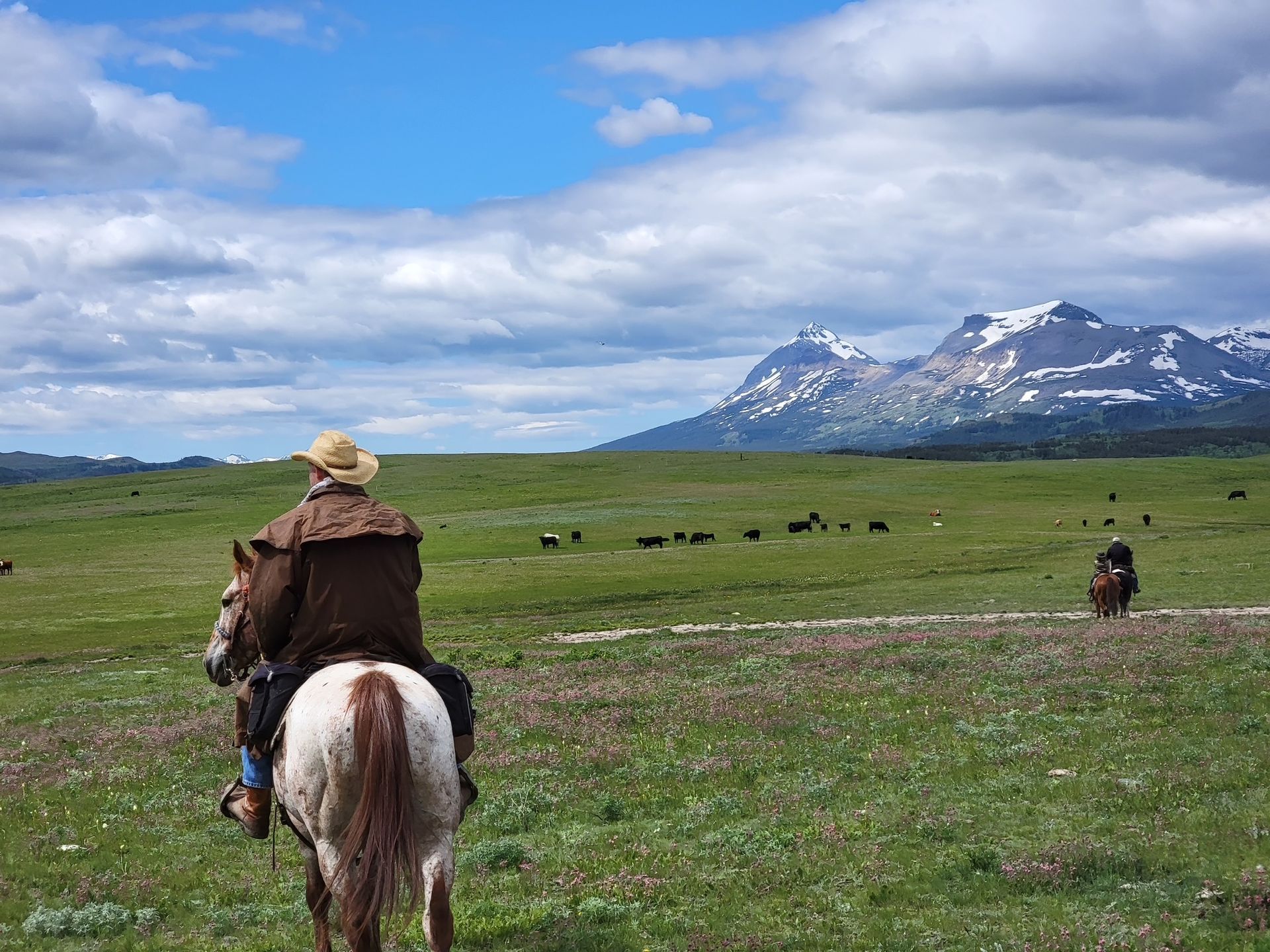 Horseback Vacations Bear Creek Guest Ranch Glacier National Park
