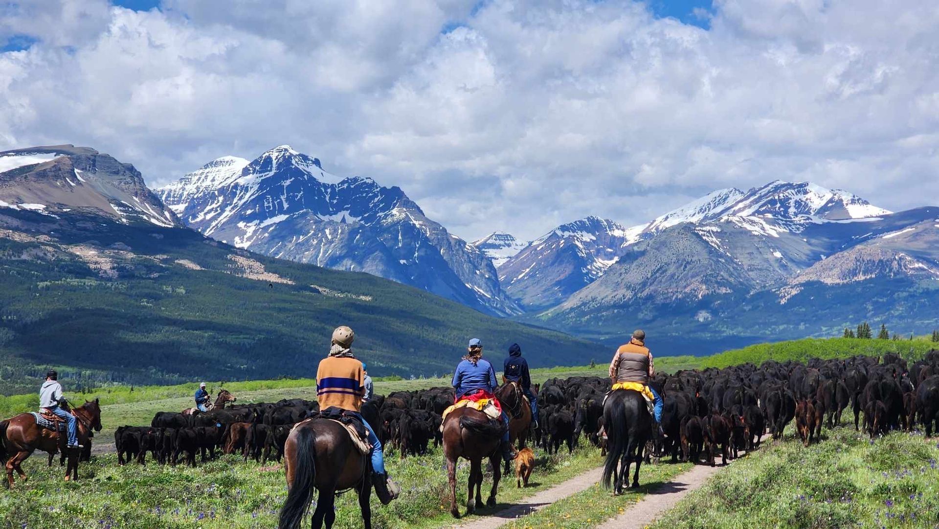 Horseback Vacations Bear Creek Guest Ranch Glacier National Park