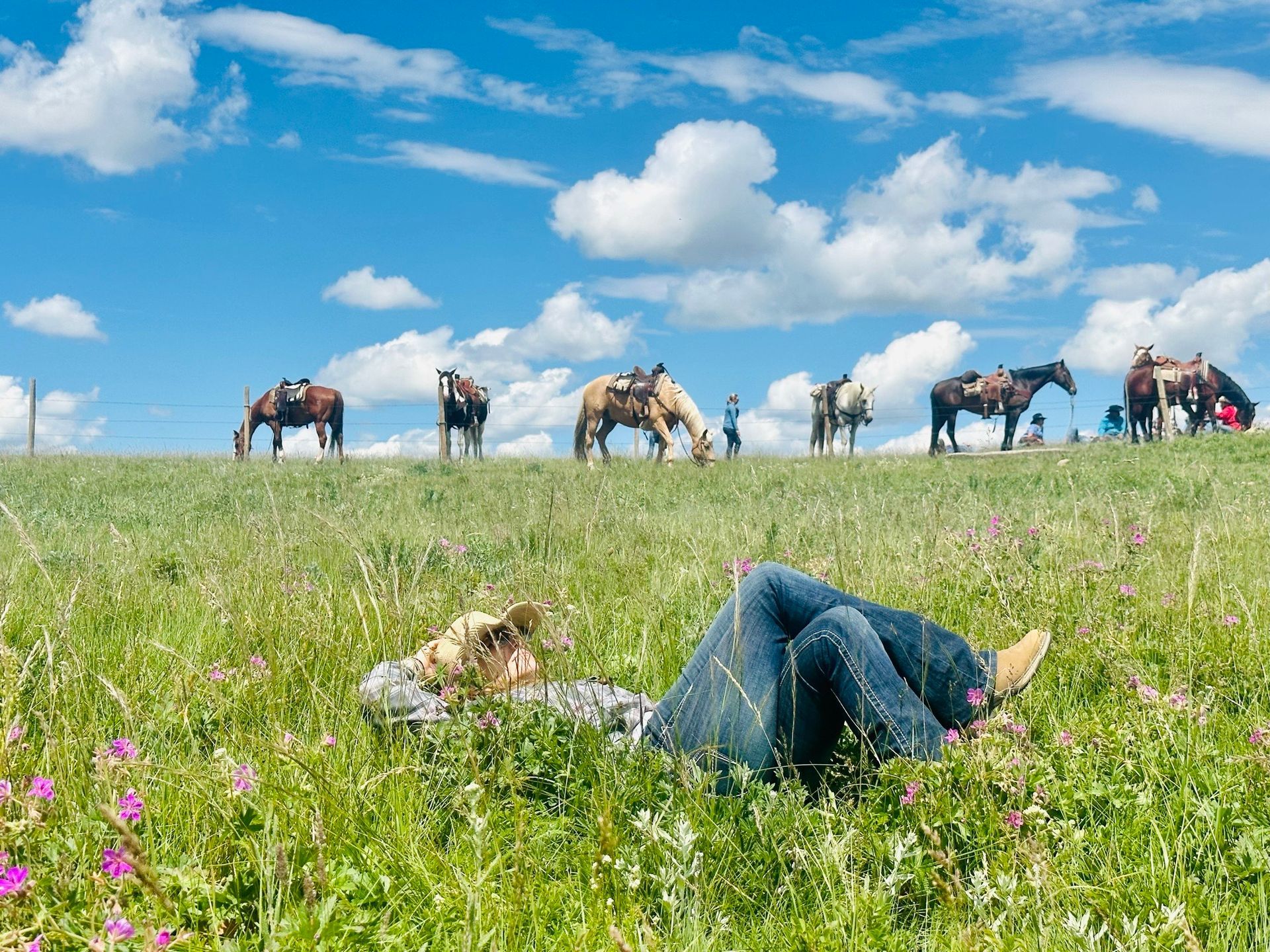 Horseback Vacations Montana