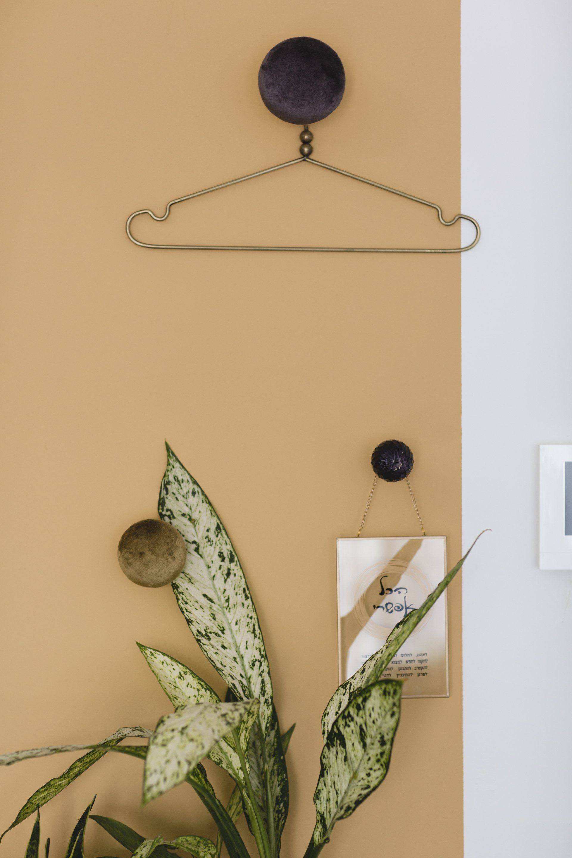 צביעת חלק מקיר בצבע בולט מוסיף עניין לחלל הלבשת חלל סלון ומטבח בגווני אפור שחור וחרדל. שפע של צמחים.  שחור-אפור וכל מה שבניהם בעיצוב של מעצבת פנים ומלבישה בתים ג׳ני ויאליך jenyvstudio