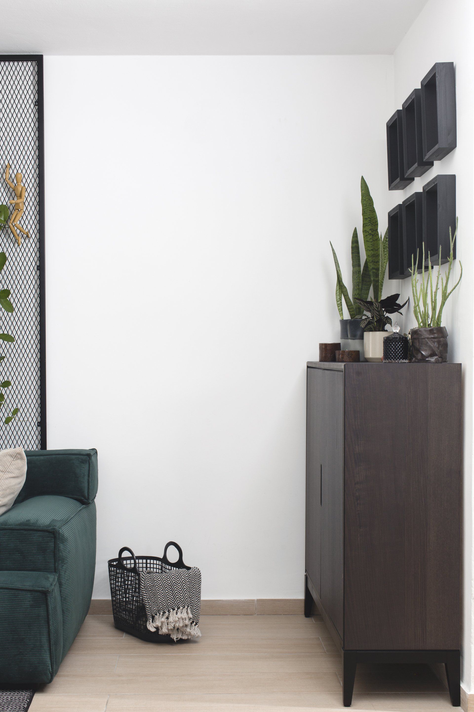 רשת שחורה, מתכת שחורה בעיצוב  חלל צבעוני ללא צבע בקירות בעיצוב של מעצבת פנים ומלבישה בתים ג׳ני ויאליך jenyvstudio