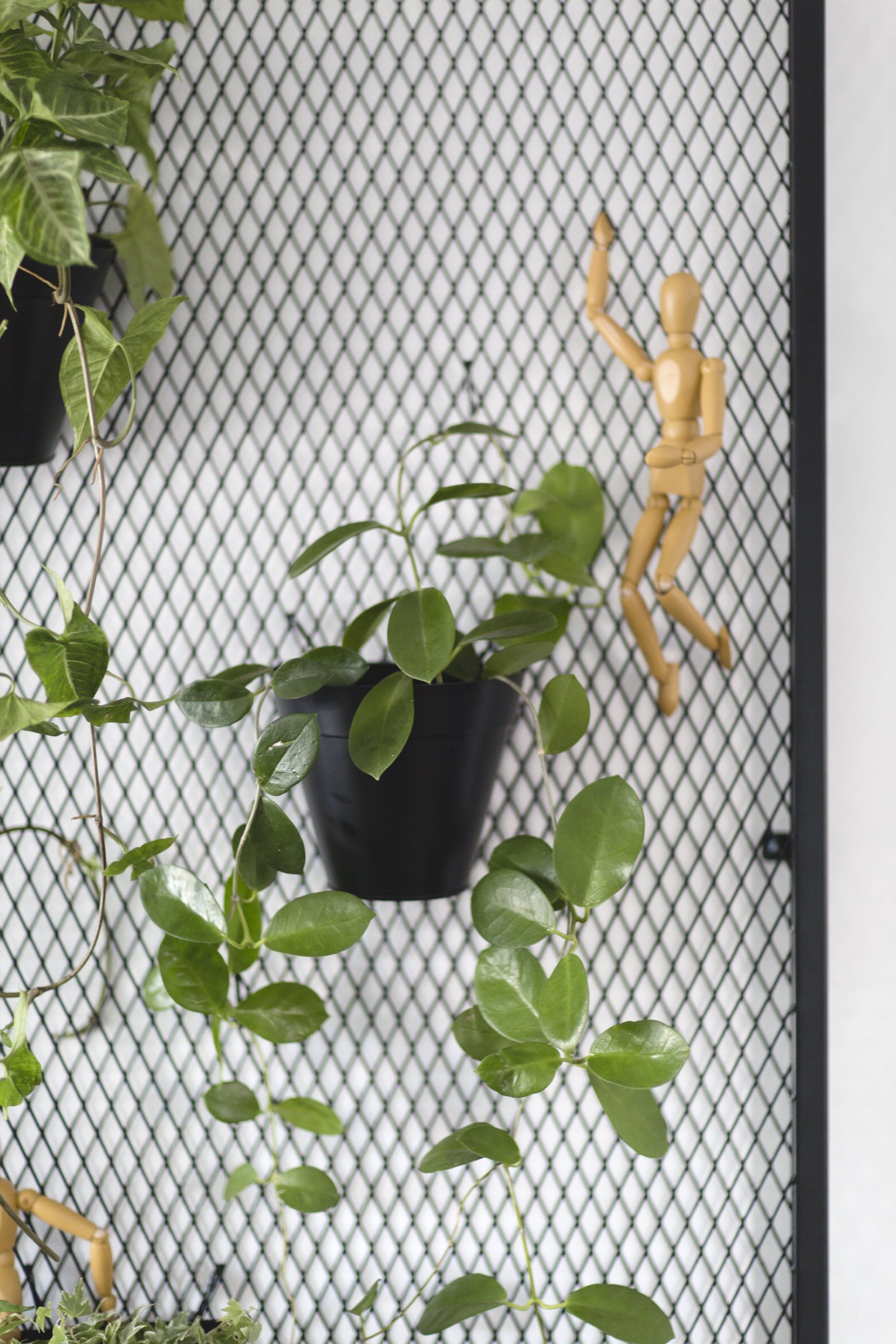 רשת שחורה, מתכת שחורה בעיצוב  חלל צבעוני ללא צבע בקירות בעיצוב של מעצבת פנים ומלבישה בתים ג׳ני ויאליך jenyvstudio