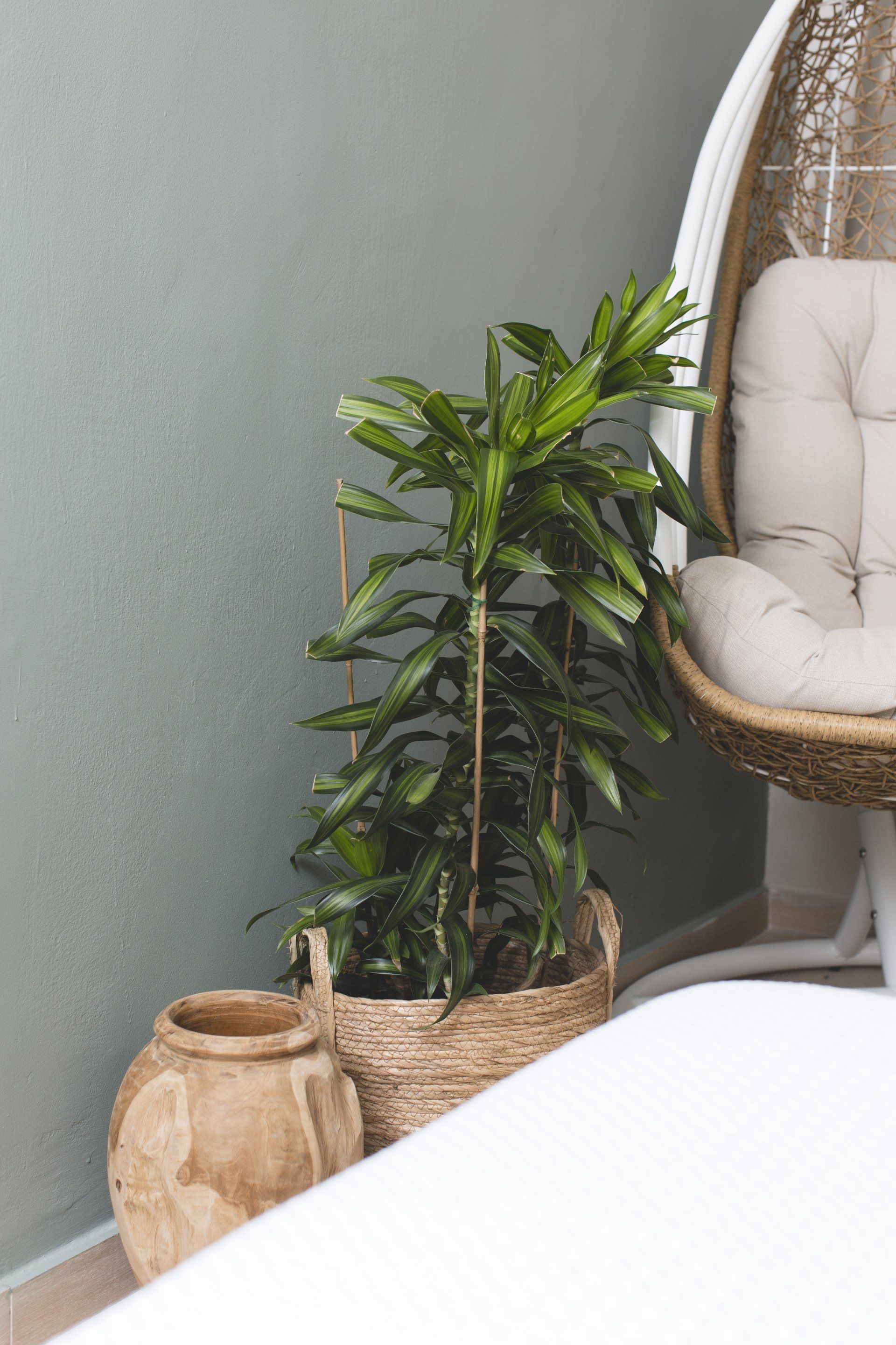 ריהוט רטאן ופמפס דקורטיבי הום סטיילינג של דירה אורבנית - סלון מעוצב עם ספת טורכיז והמון ירוק חופשי ובוהו שיקי בעיצוב של מעצבת פנים ומלבישה בתים ג׳ני ויאליך jenyvstudio