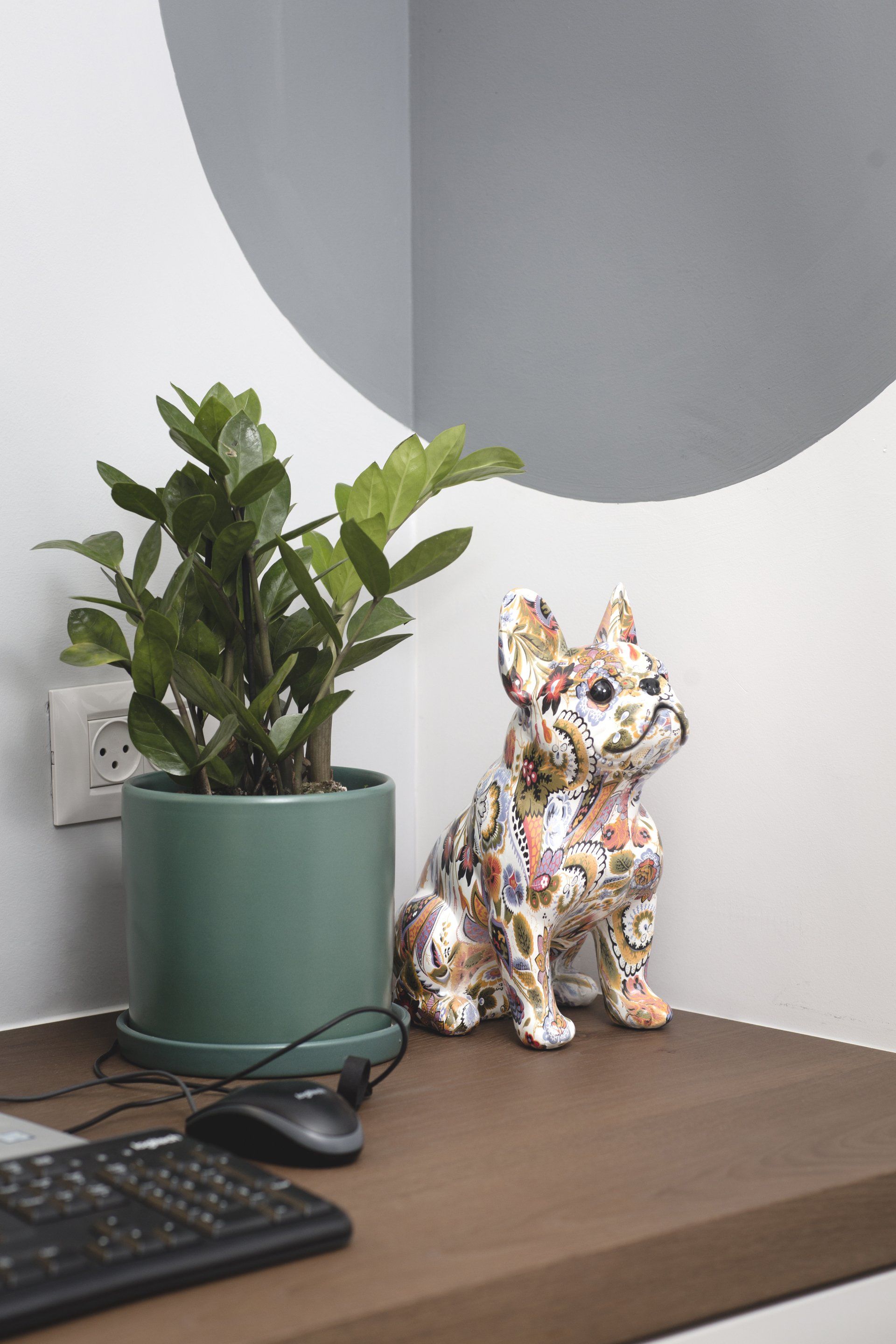 בולדוג צבעוני, סוקולנטים, תמונות על הקיר משרד ביתי בסטייל המשקף את העדפות הלקוח. פינת מחשב, כוורת עם ספרים ואקססוריז וצמחים עם פינת מוזיקה כאן עובדים מהבית בעיצוב של מעצבת פנים ומלבישה בתים ג׳ני ויאליך jenyvstudio