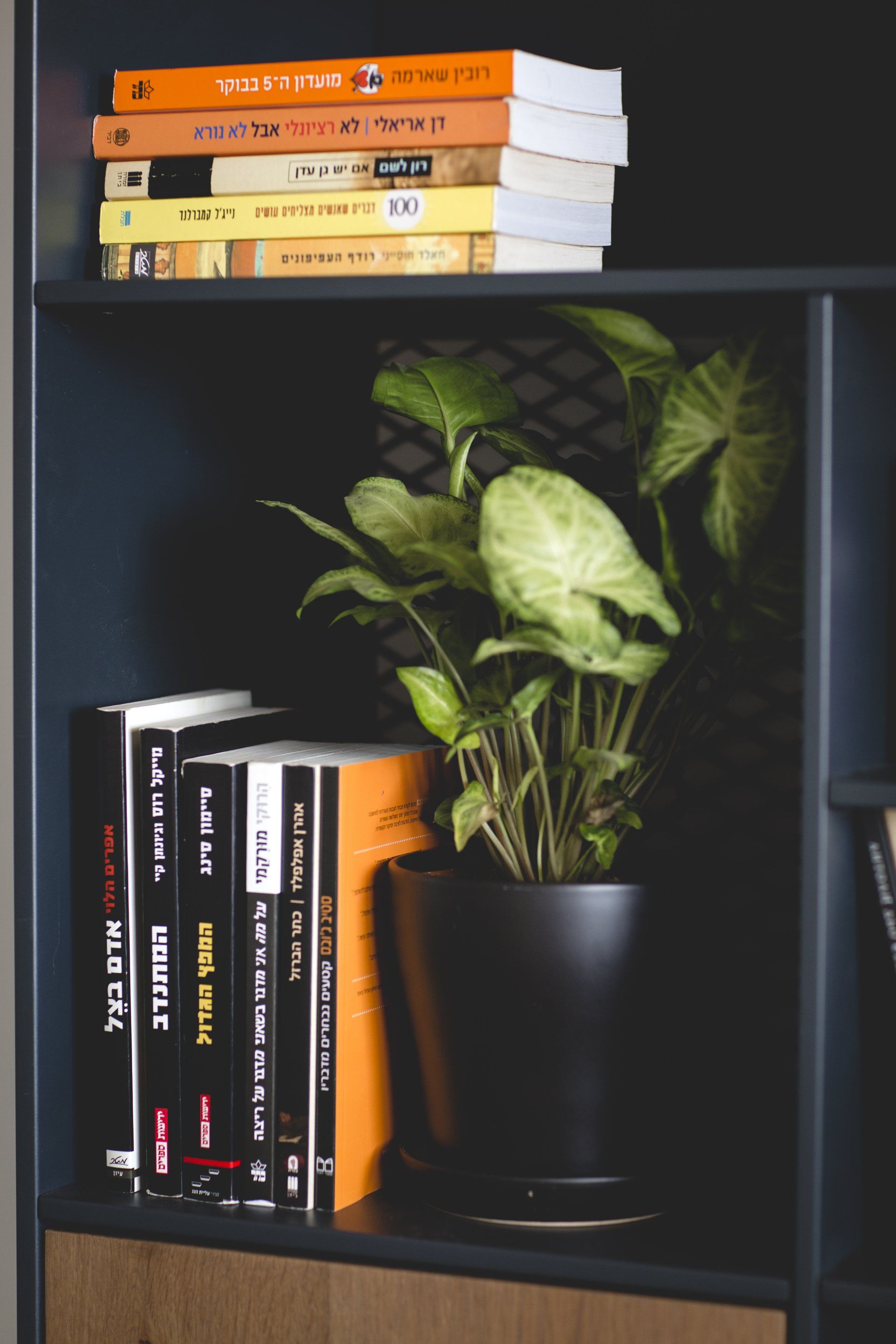 בולדוג צבעוני, סוקולנטים, תמונות על הקיר משרד ביתי בסטייל המשקף את העדפות הלקוח. פינת מחשב, כוורת עם ספרים ואקססוריז וצמחים עם פינת מוזיקה כאן עובדים מהבית בעיצוב של מעצבת פנים ומלבישה בתים ג׳ני ויאליך jenyvstudio