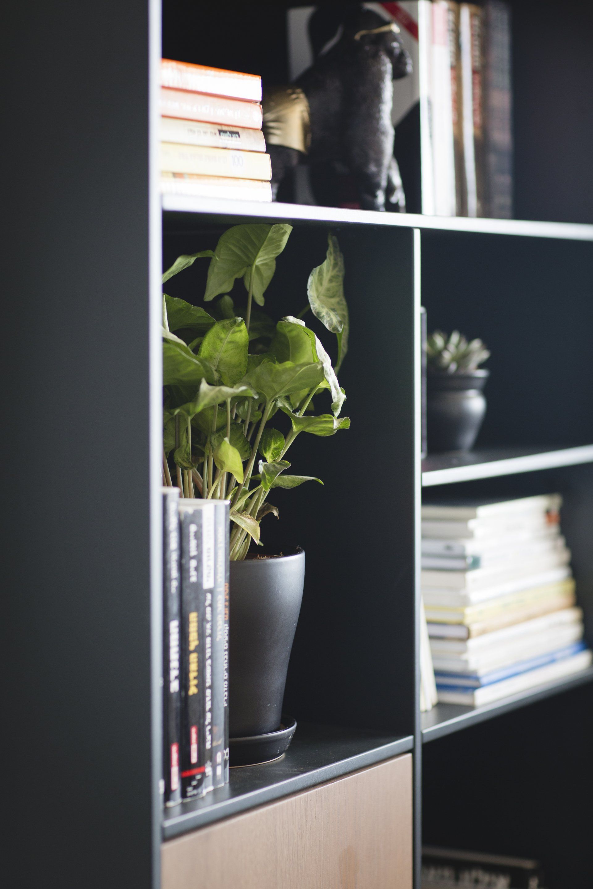 משרד ביתי בסטייל המשקף את העדפות הלקוח. פינת מחשב, כוורת עם ספרים ואקססוריז וצמחים עם פינת מוזיקה כאן עובדים מהבית בעיצוב של מעצבת פנים ומלבישה בתים ג׳ני ויאליך jenyvstudio