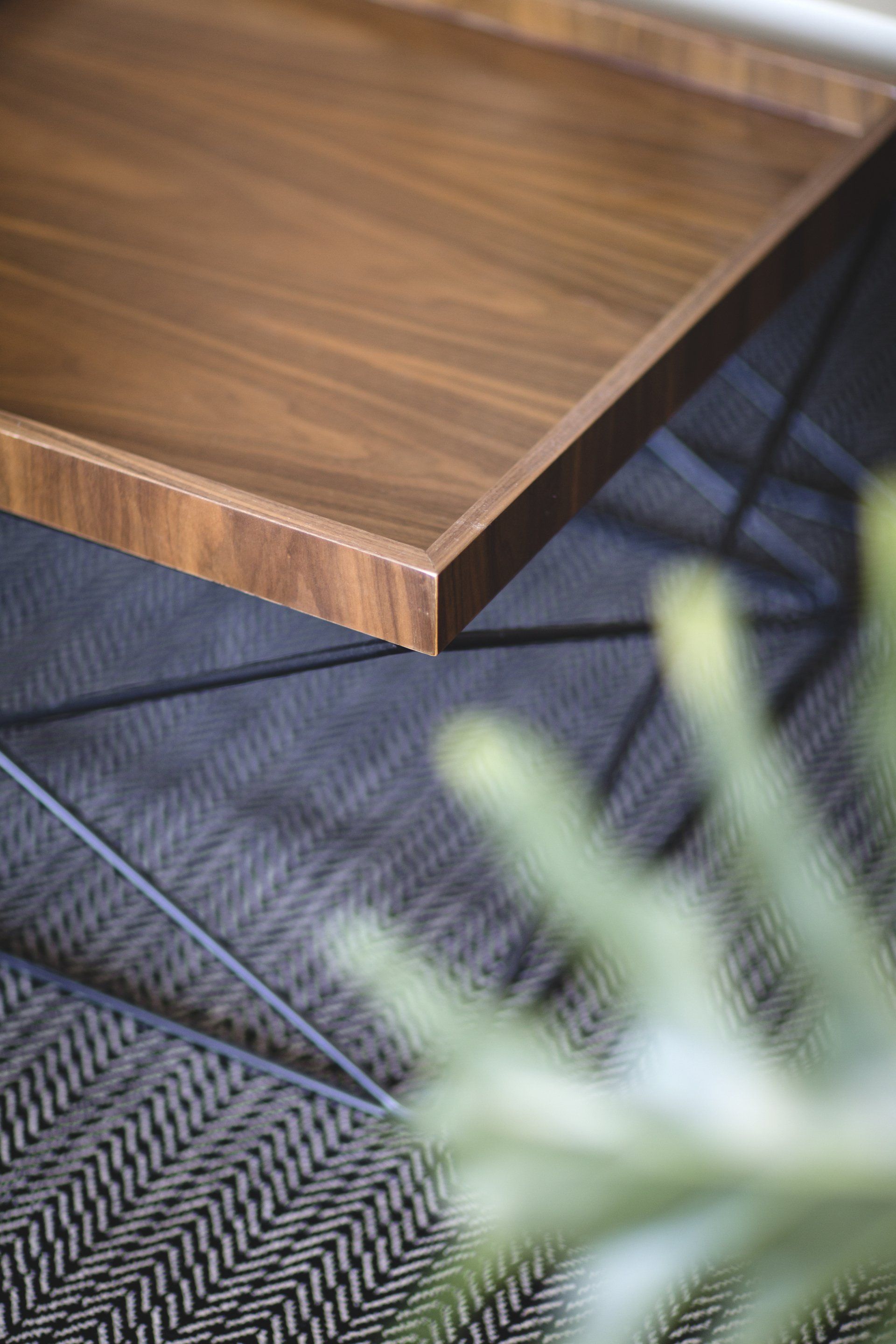 רשת שחורה, מתכת שחורה בעיצוב  חלל צבעוני ללא צבע בקירות בעיצוב של מעצבת פנים ומלבישה בתים ג׳ני ויאליך jenyvstudio