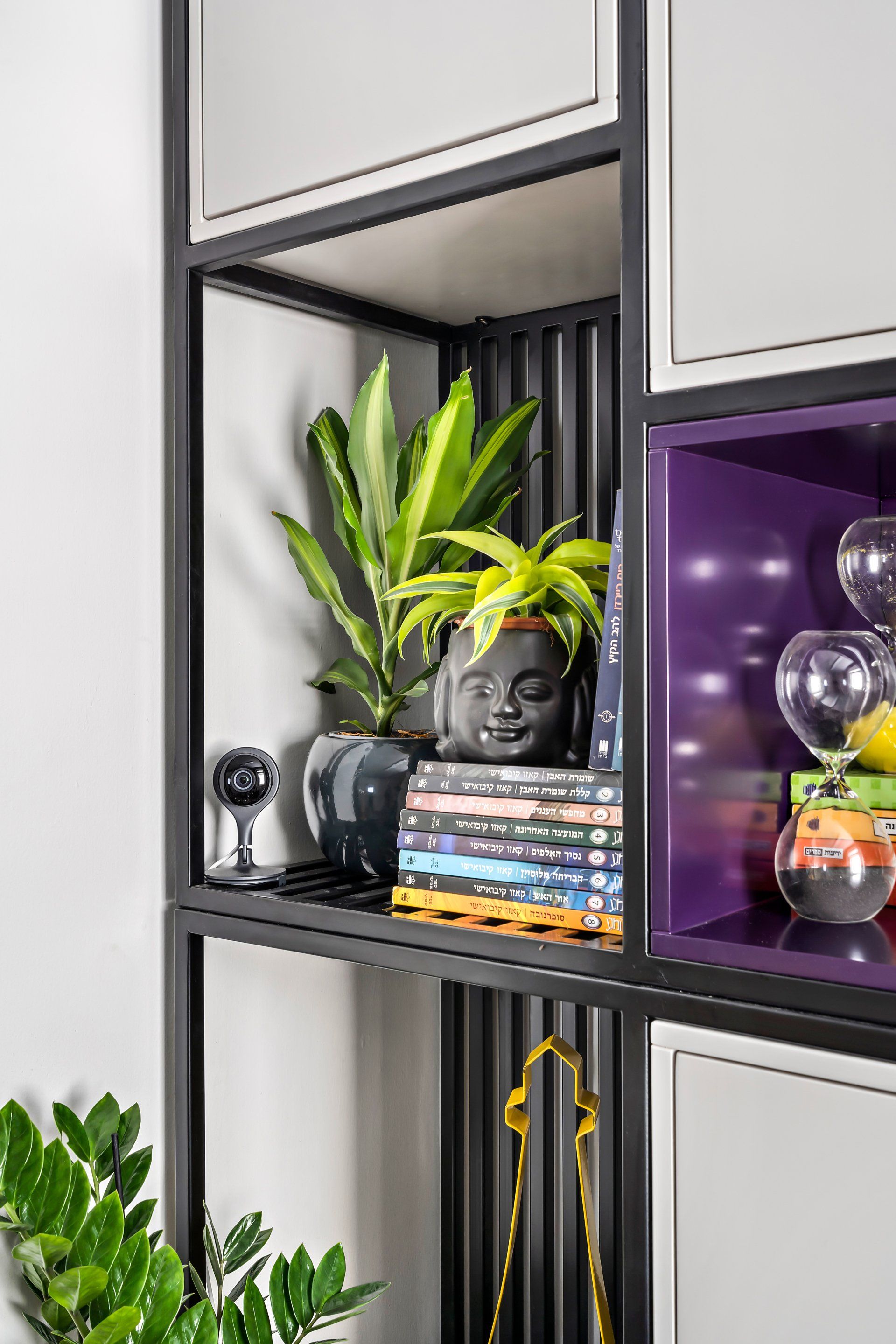 על הארונית ישנם צמחים וספרים