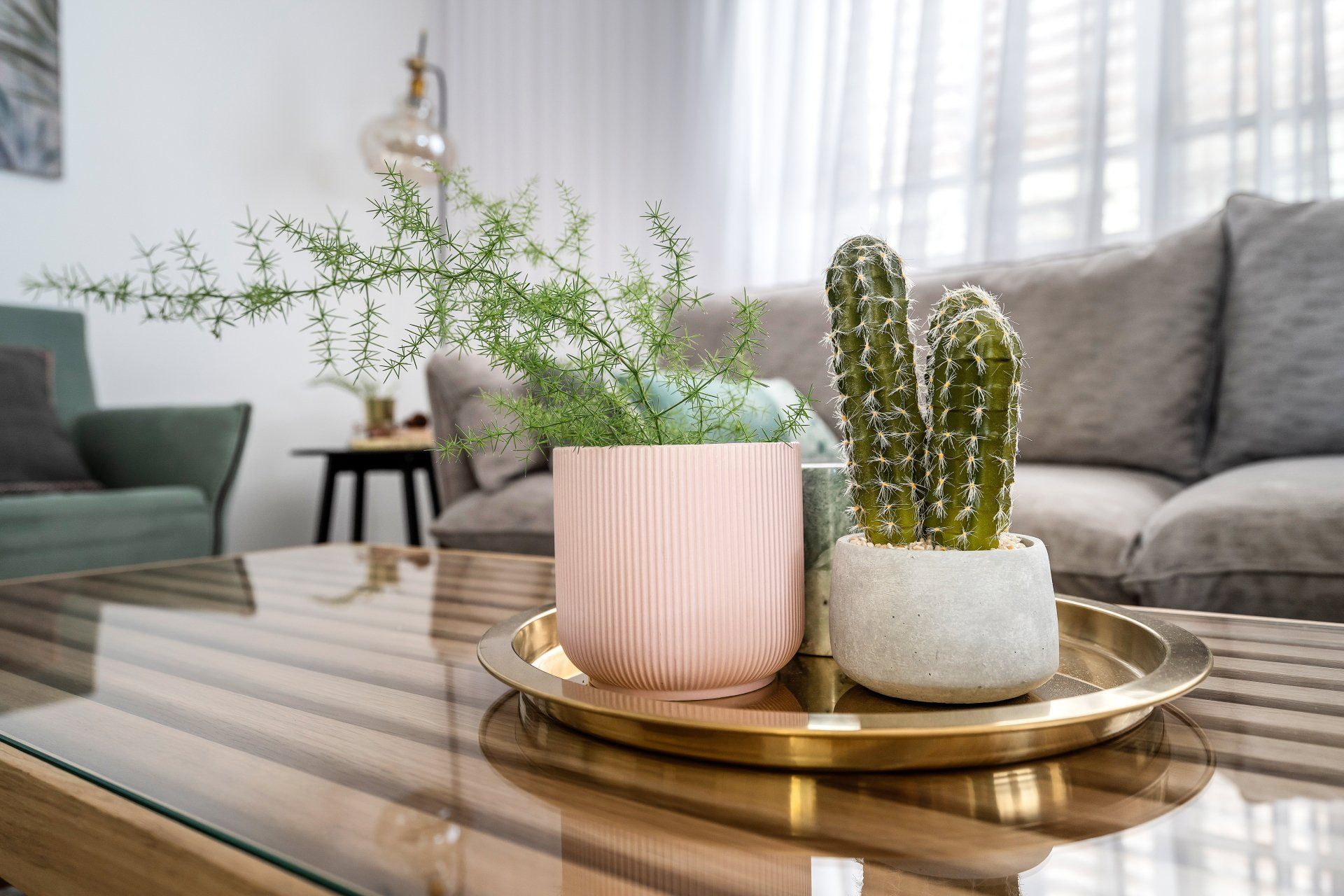 קקטוסים בכלים מעוצבים בצבעוניות בהירה על שולחן סלון