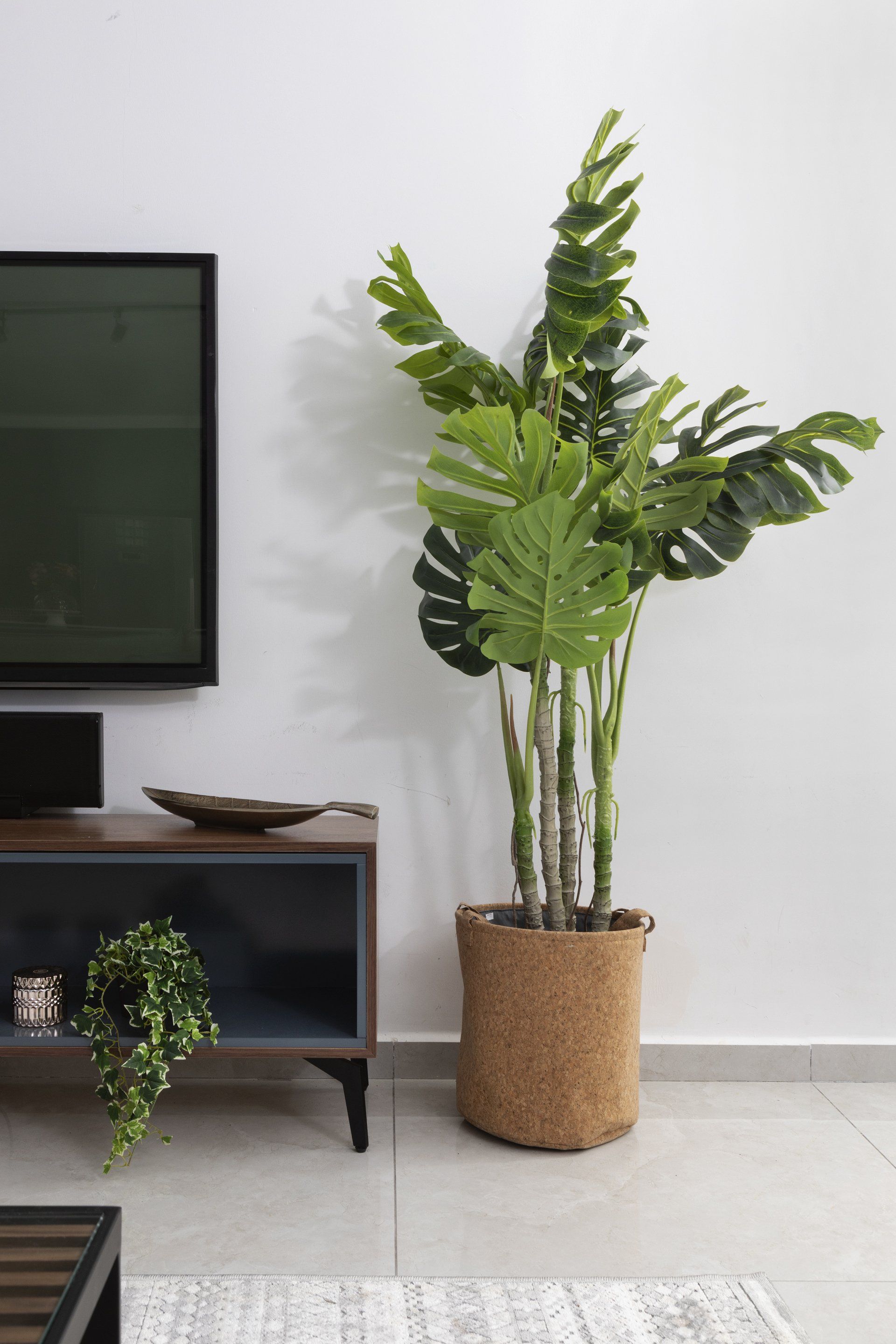 עציץ גדול לצד שידת טלויזיה