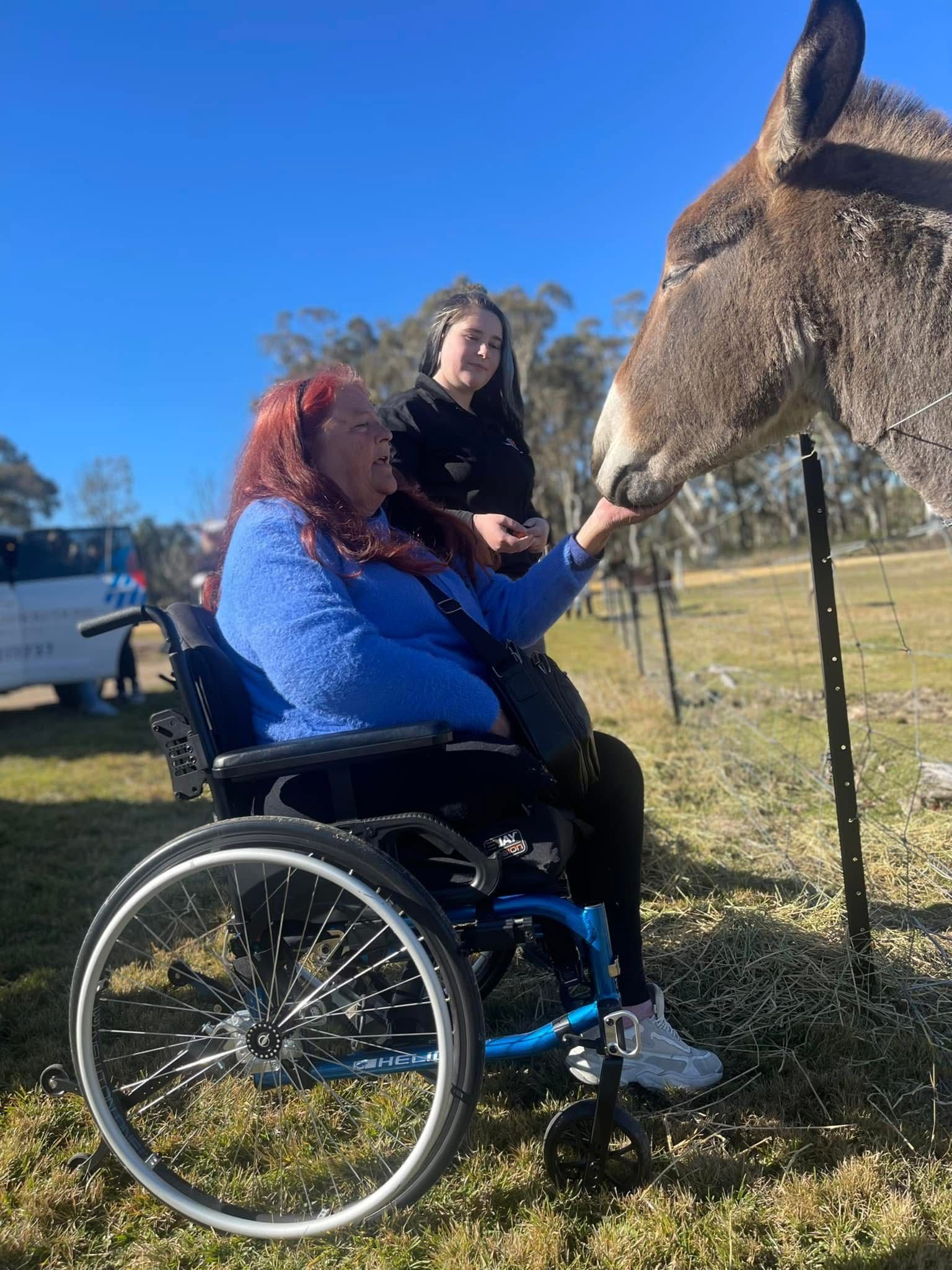 A woman in a wheelchair is petting a donkey in a field.