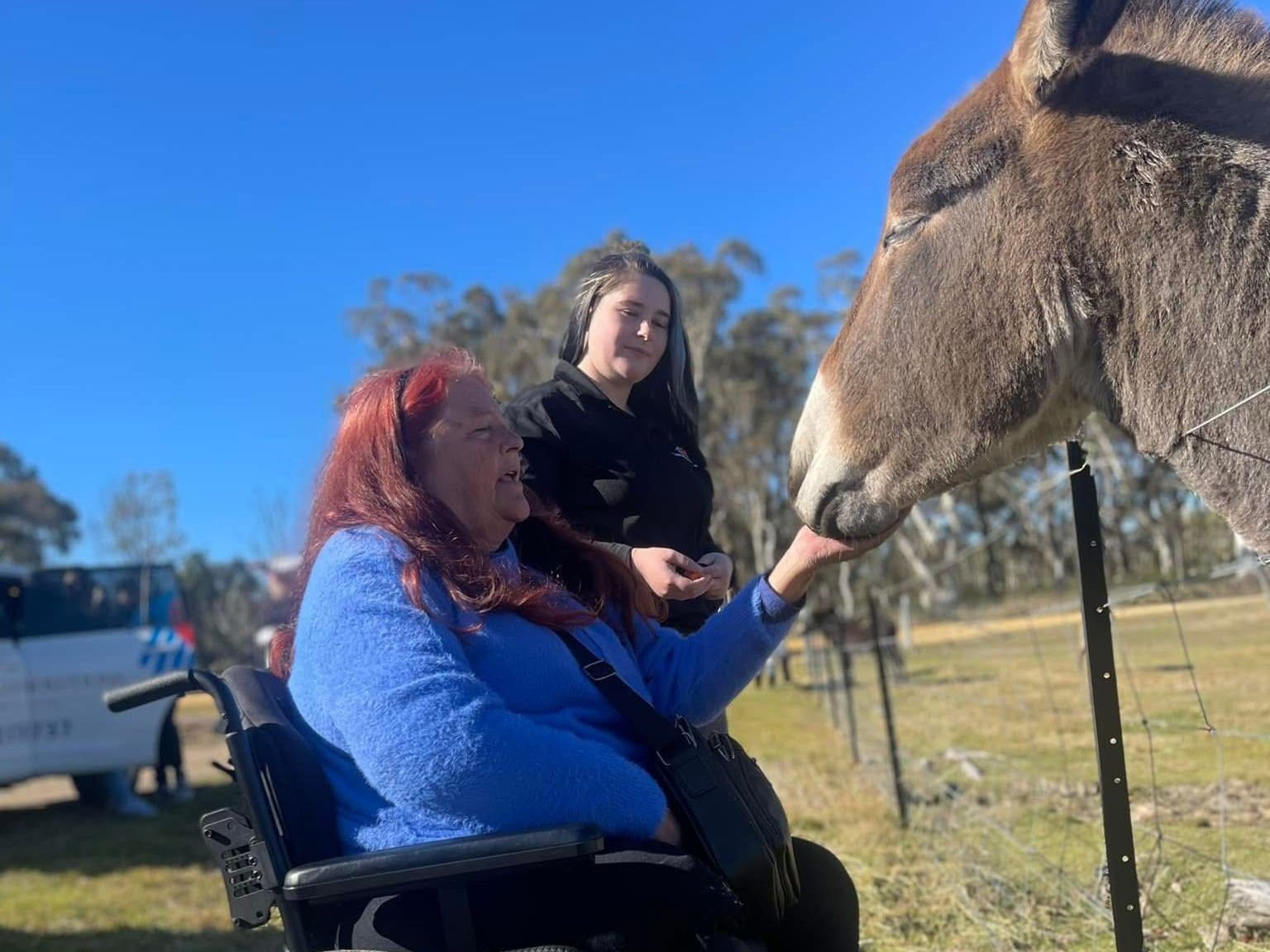 Cambre yearly Glamping holiday. A woman in a wheelchair is petting a donkey in a field.