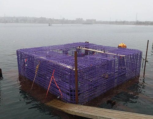 a large purple plastic crate is floating on top of a body of water